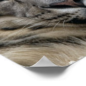 Poster Empreinte de léopard de neige (Coin)