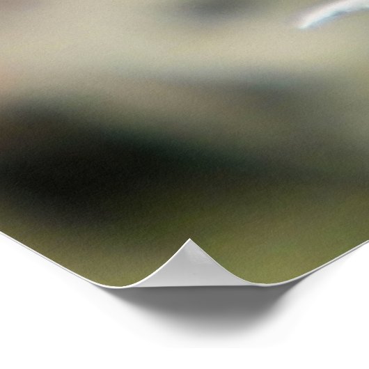 Poster empreinte de libellule bleue (Coin)