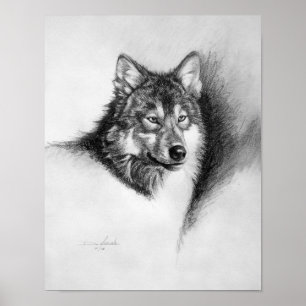 Poster empreinte de loup