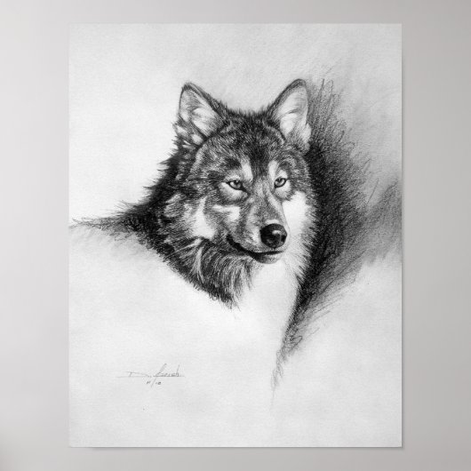 Poster empreinte de loup (Devant)