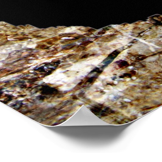 POSTER EMPREINTE DE PATTE (Coin)