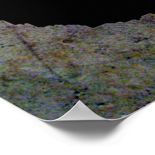 POSTER EMPREINTE DE PATTE (Coin)