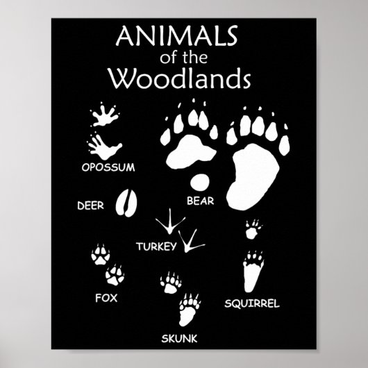 Poster Empreinte de patte animal mou de bois (Devant)