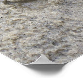 Poster Empreinte de patte Dans Le Sable (Coin)