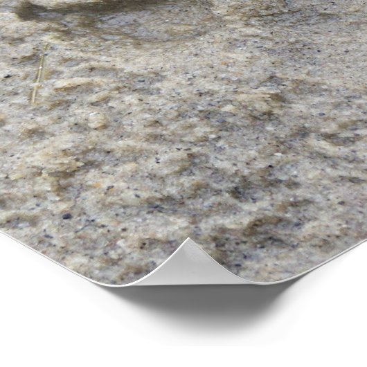 Poster Empreinte de patte Dans Le Sable (Coin)