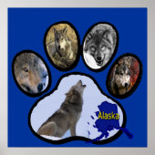 Poster Empreinte de patte de l'Alaska Wolf (Devant)