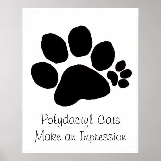Poster - Empreinte de patte Polydactyl (Devant)
