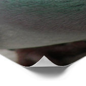 Poster Empreinte de pigeon (Coin)