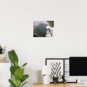 Poster Empreinte de pigeon (Bureau à domicile)