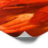 Poster Empreinte de poisson (Coin)