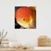 Poster Empreinte de poisson rouge Oranda (Cuisine)
