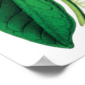 Poster Empreinte de qualité PREMIUM Botanique (Coin)