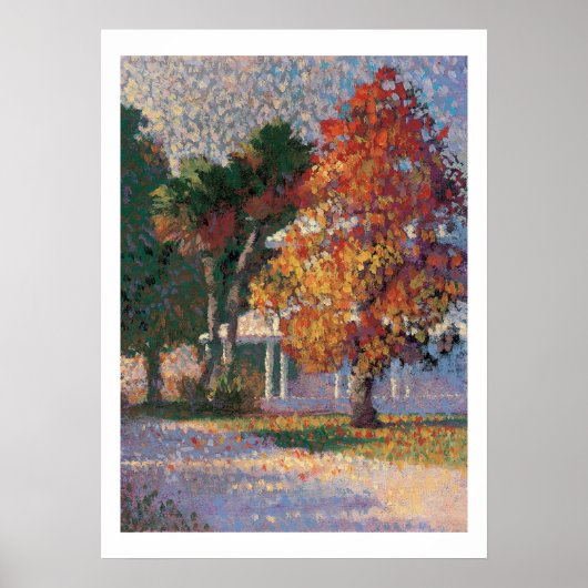 Poster Empreinte d'érable et de palmiers (Devant)