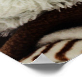 Poster Empreinte d'ours (Coin)