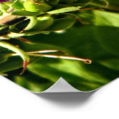 Poster empreinte florale rose foxglove (Coin)