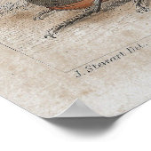 Poster Empreinte Lithographique Antique de Beetle (Coin)