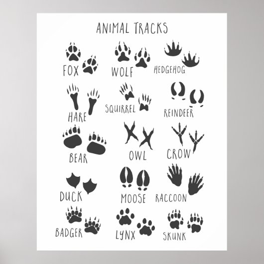 Poster Empreintes d'animaux  (Devant)