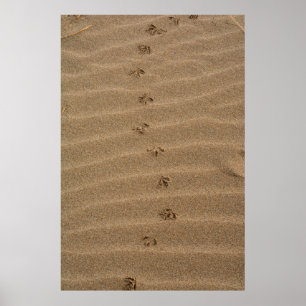 Poster Empreintes dans le sable