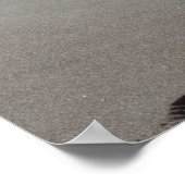 Poster Empreintes de l'âme ensemble dans l'affiche du sab (Coin)