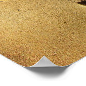 Poster Empreintes de l'amour (Coin)