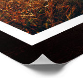 Poster Empreintes de pattes rustiques Personnalisé Pet Ph (Coin)