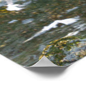 Poster Empreintes de Pied de Giant Otter (Coin)