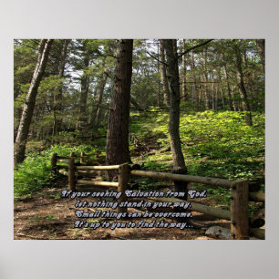 Poster Empreintes naturelles