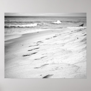 Poster Empreintes noir et blanc dans le sable de plage 16