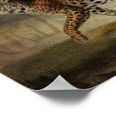 Poster Emprunté à partir de l'arbre Rose (Coin)