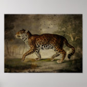 Poster Emprunté à partir de l'arbre Rose (Devant)