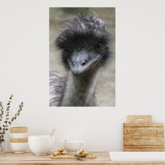 Poster Emu (Cuisine)