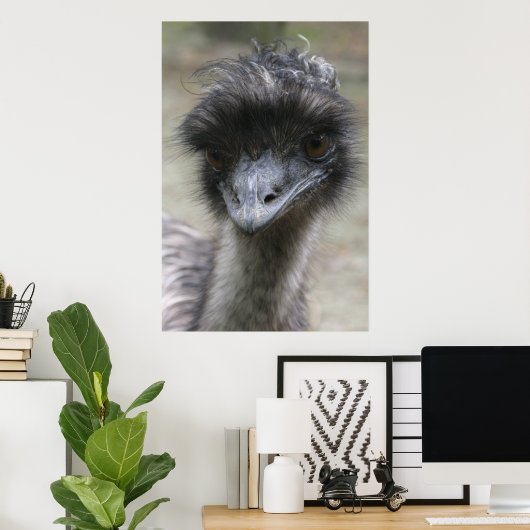 Poster Emu (Bureau à domicile)