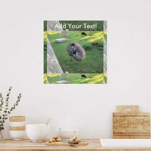 Poster Emu (Cuisine)