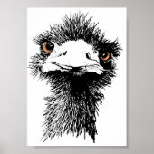 Poster Emu (Devant)