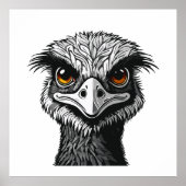 Poster Emu bird head (Devant)