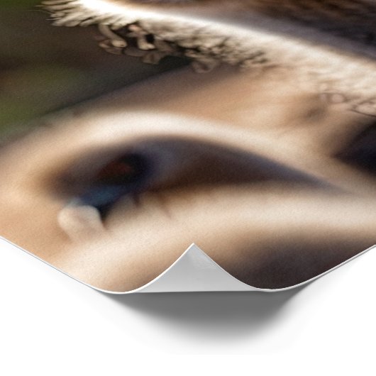 Poster Emu Birds (Coin)