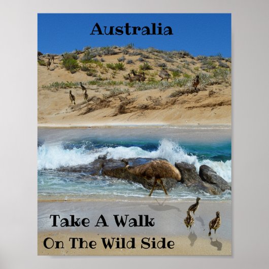 Poster Emu Island Australie, (Devant)