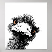 Poster Emu - Stylet et encre (Devant)
