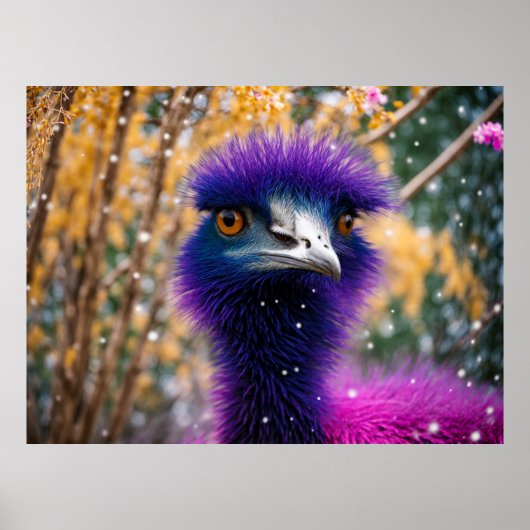 Poster Emu Violet A L'Air Un Peu Mécontent (Devant)
