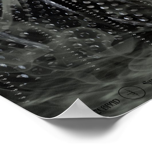 Poster Emulateur de conscience (Coin)