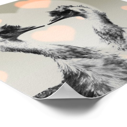 Poster Emus amoureux (Coin)