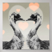Poster Emus amoureux (Devant)