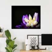 Poster En amour avec Lupine (Bureau à domicile)