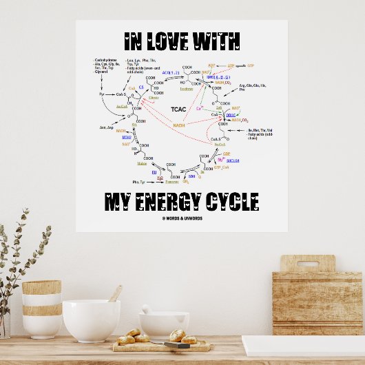 Poster En amour avec mon cycle d'énergie (Krebs Cycle) (Cuisine)