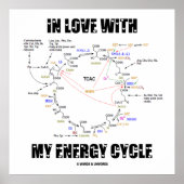 Poster En amour avec mon cycle d'énergie (Krebs Cycle) (Devant)