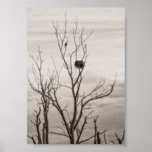 Poster En attendant la vie