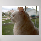 Poster En Attendant Mon Humain (Devant)