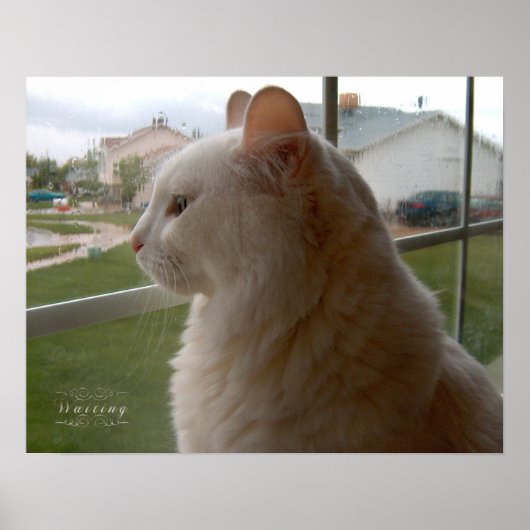 Poster En Attendant Mon Humain (Devant)