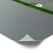 Poster En attente, Blue Damselfly gros plan (Coin)