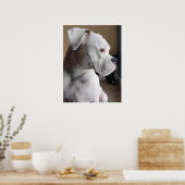 Poster En attente : La boîte blanche (Cuisine)